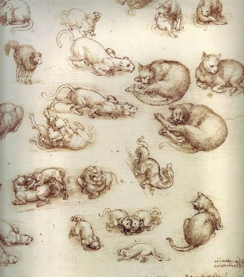 Leonardo+da+Vinci-1452-1519 (830).jpg